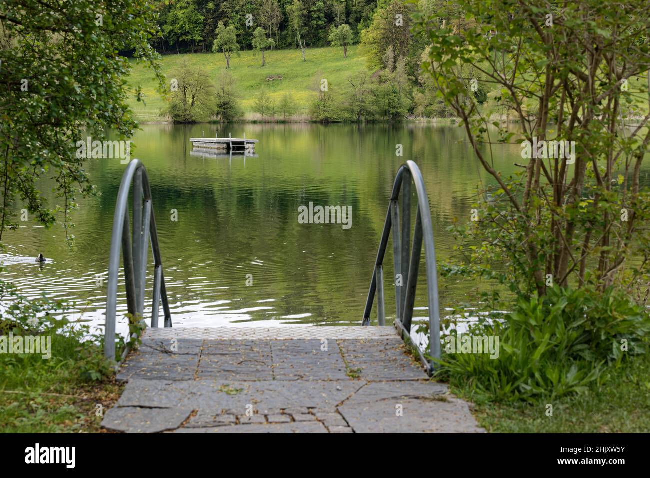 Swimming lake swimming platform jetty with ladder for bathers spring day with green forest and blue green water, day cloudy without people Stock Photo