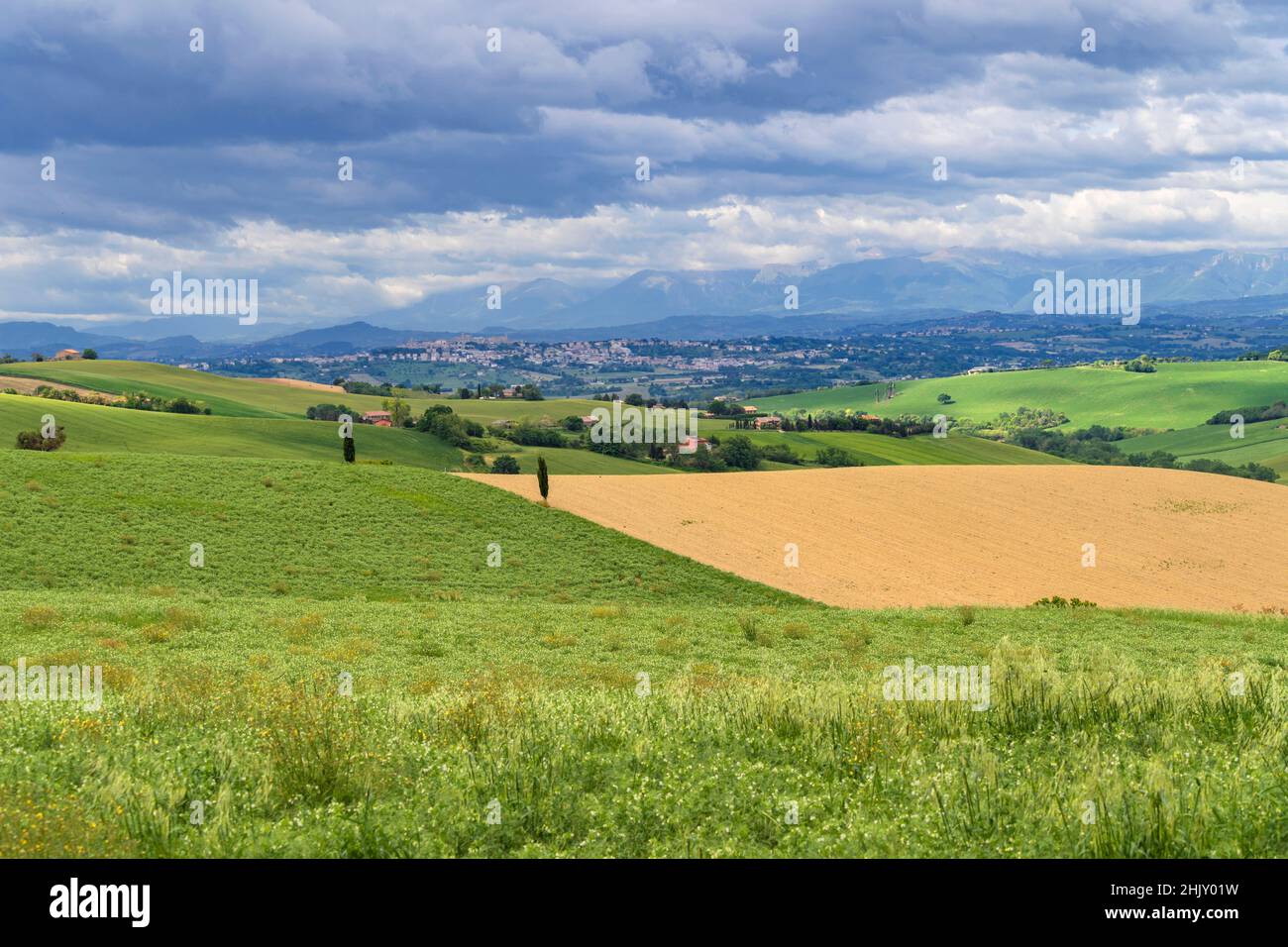 Countryside, View of Corridonia from Macerata, Marche, Italy, Europe Stock Photo