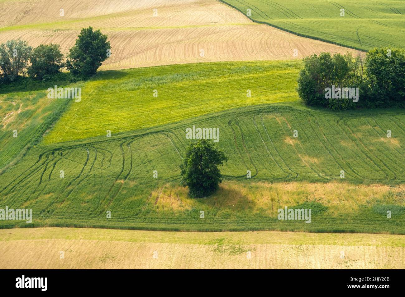 Country landscape, Corridonia, Marche, Italy, Europe Stock Photo