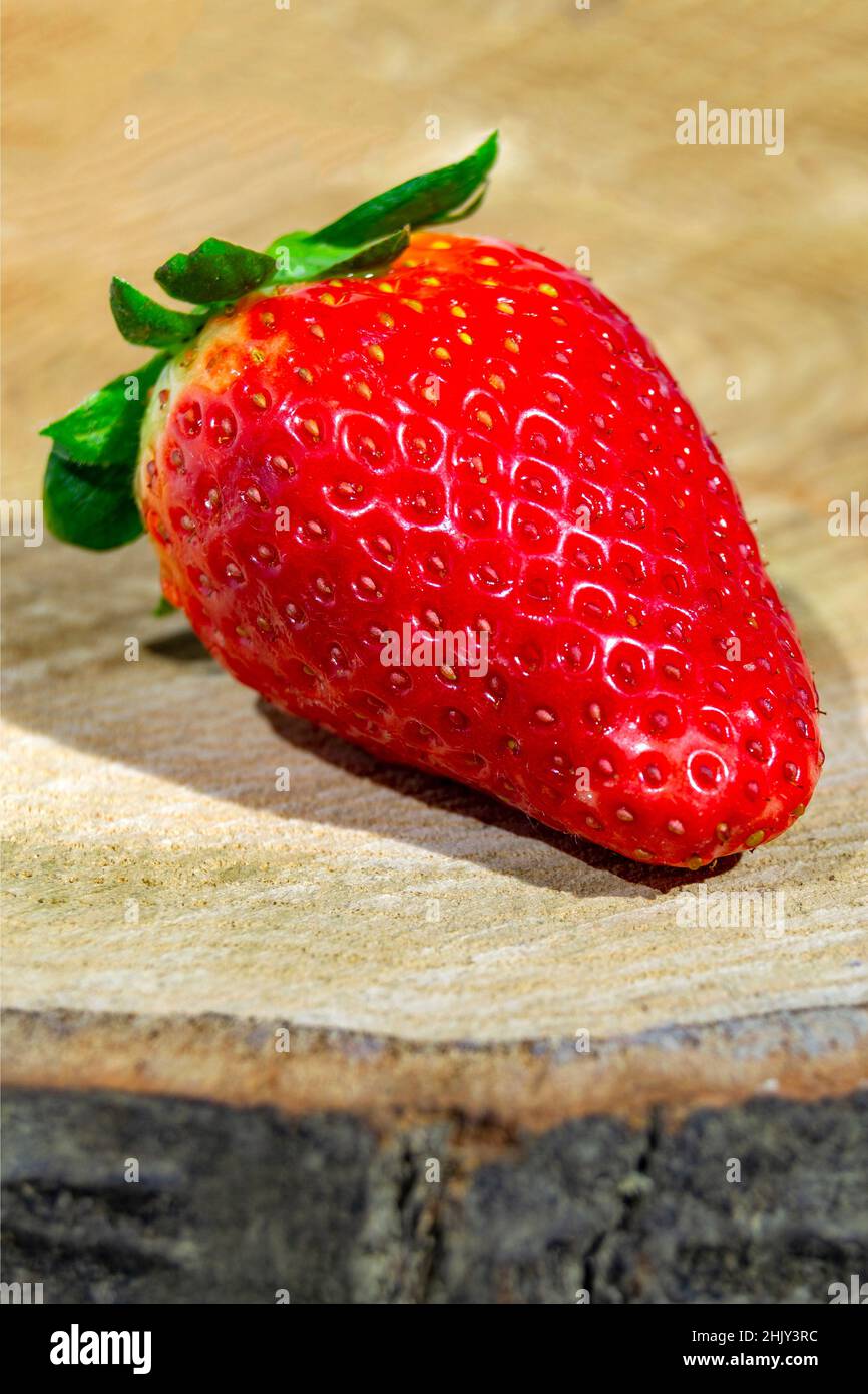 Strawberries. Strawberry resting on a brown textured trunk. Vertical photography. Stock Photo