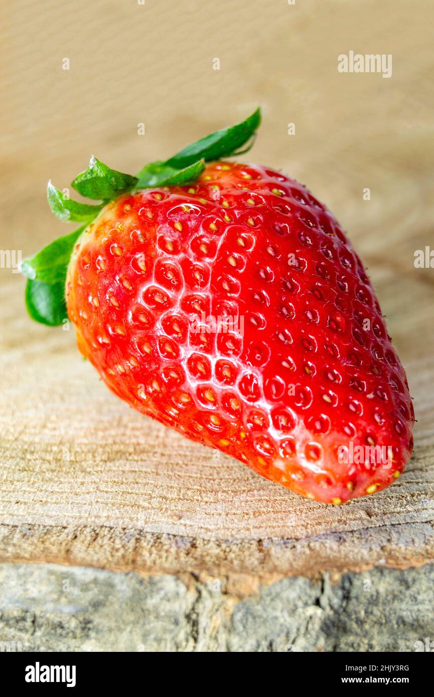 Strawberries. Strawberry resting on a brown textured trunk. Vertical photography. Stock Photo