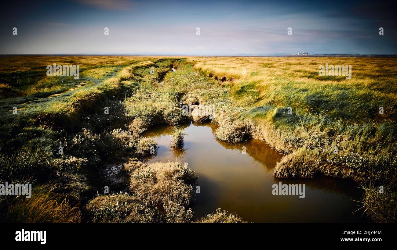 Morecambe Bay salt marshes from Preesall,Lancashire Stock Photo Alamy