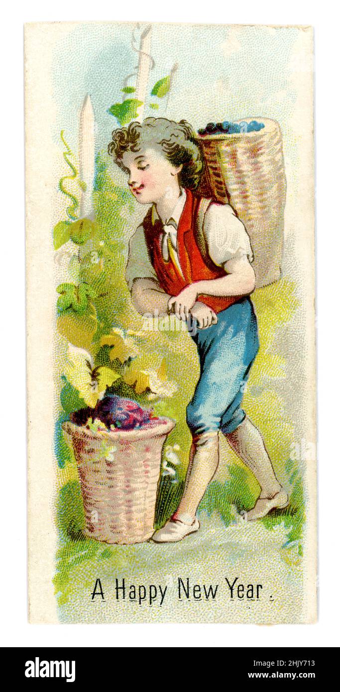 Original Victorian scrapbook seasonal New Year's greetings card cutting, sentimental image of a young boy with basket or pannier of grapes, grape vines.  late 1890's, UK Stock Photo