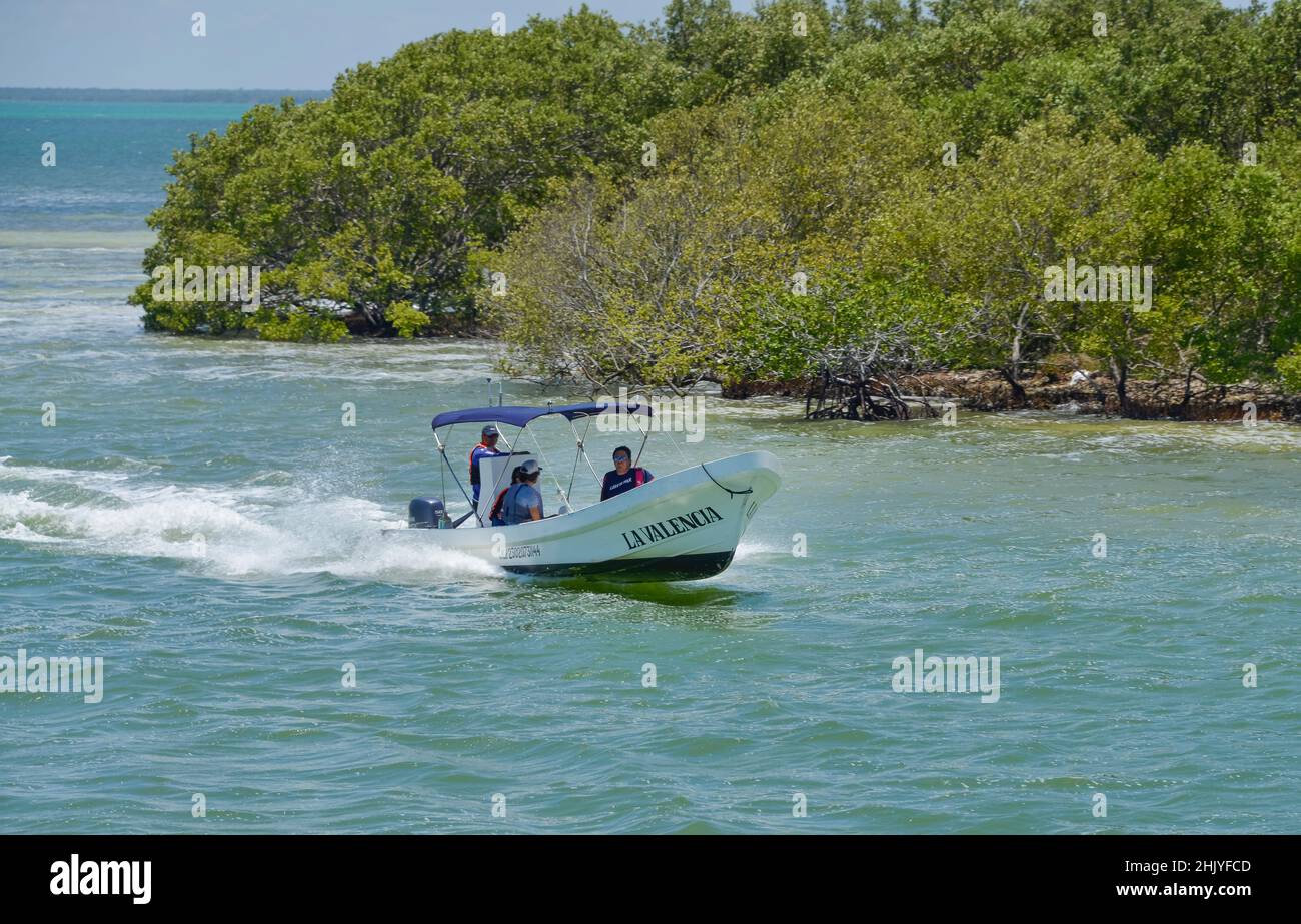 Motorboot, Mangroven, Isla Holbox, Quintana Roo, Mexiko Stock Photo