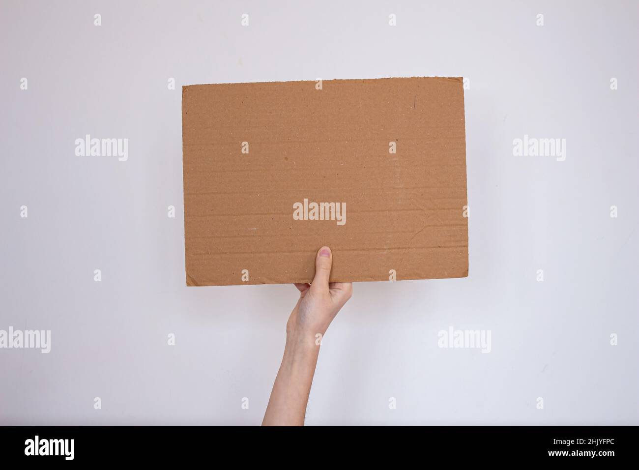 Hand holding blank cardboard box. Copy space for text on cardboard. Protester holding sign board isolated on white background. Stock Photo