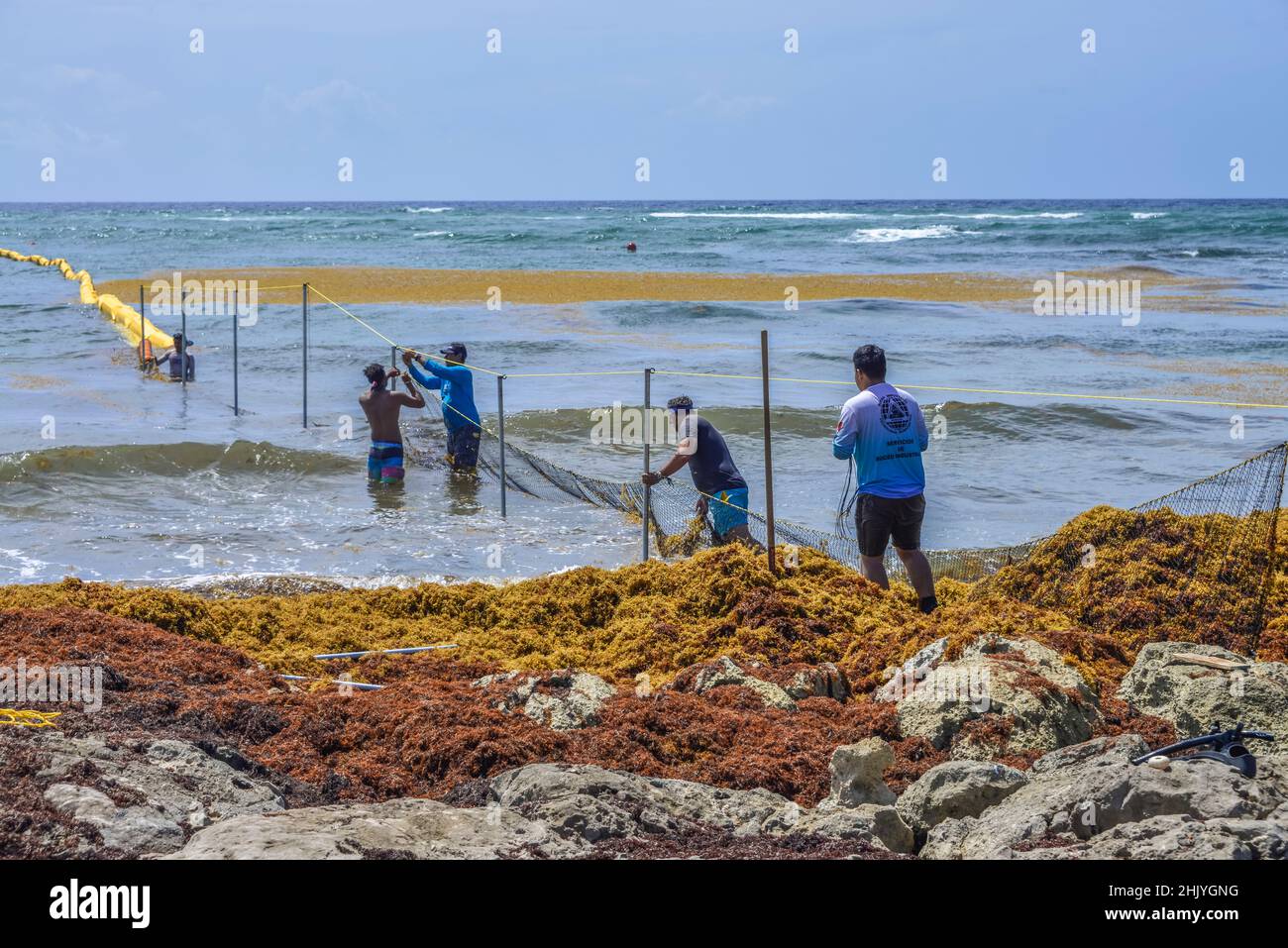 Einrichtung einer Sperre gegen Braunalgen, Strand, Akumal, Quintana Roo, Mexiko Stock Photo