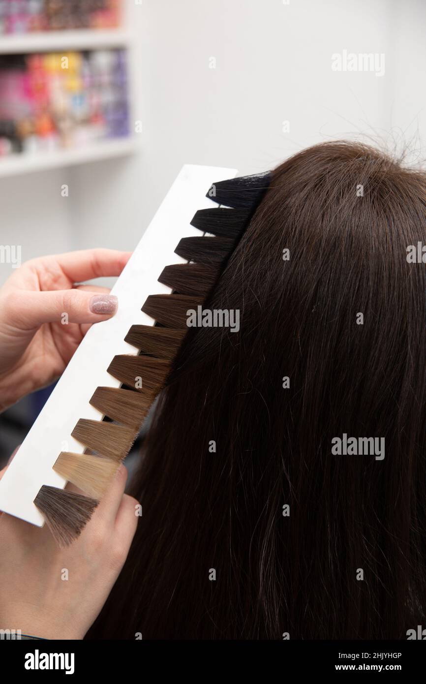 The hairdresser selects the color of the paint using a palette of hair colors while having appointment. Stock Photo