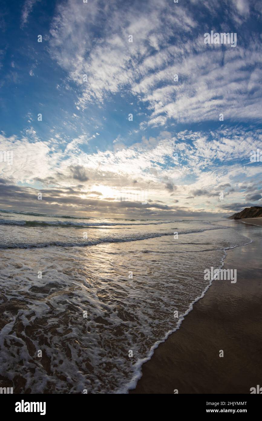 Vertical shot beautiful foamy hi-res stock photography and images - Alamy