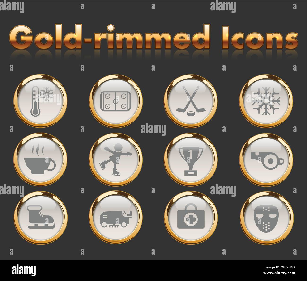 ice rink gold-rimmed vector icons with black background Stock Vector