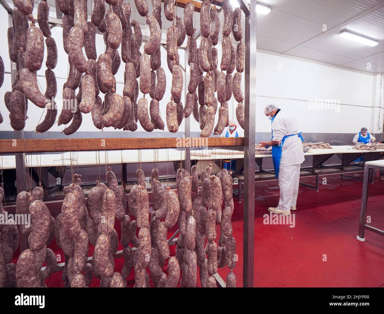 Factory Stuffing worker manufacturing, stuffing and tying sausages, salme and chorizo in ...