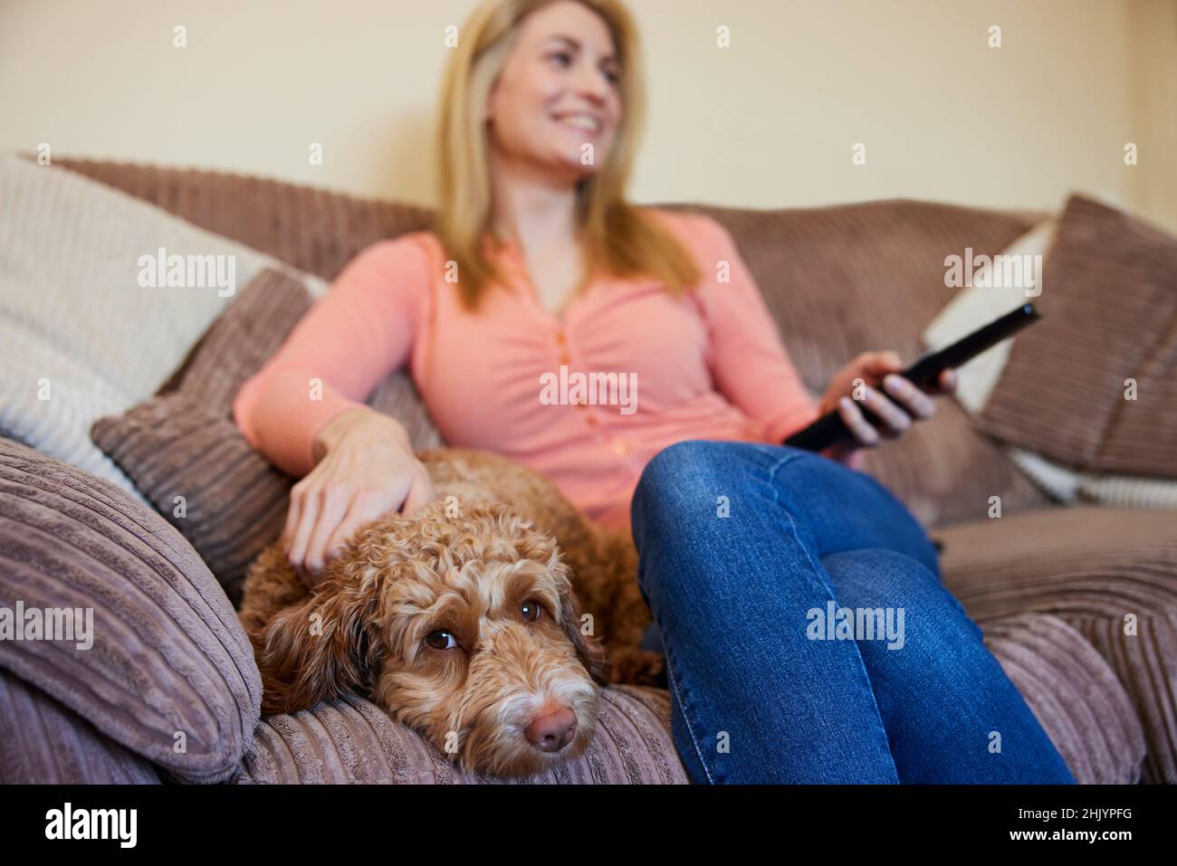 Woman With Pet Cockapoo Dog Relaxing On Sofa Watching TV At Home Stock Photo
