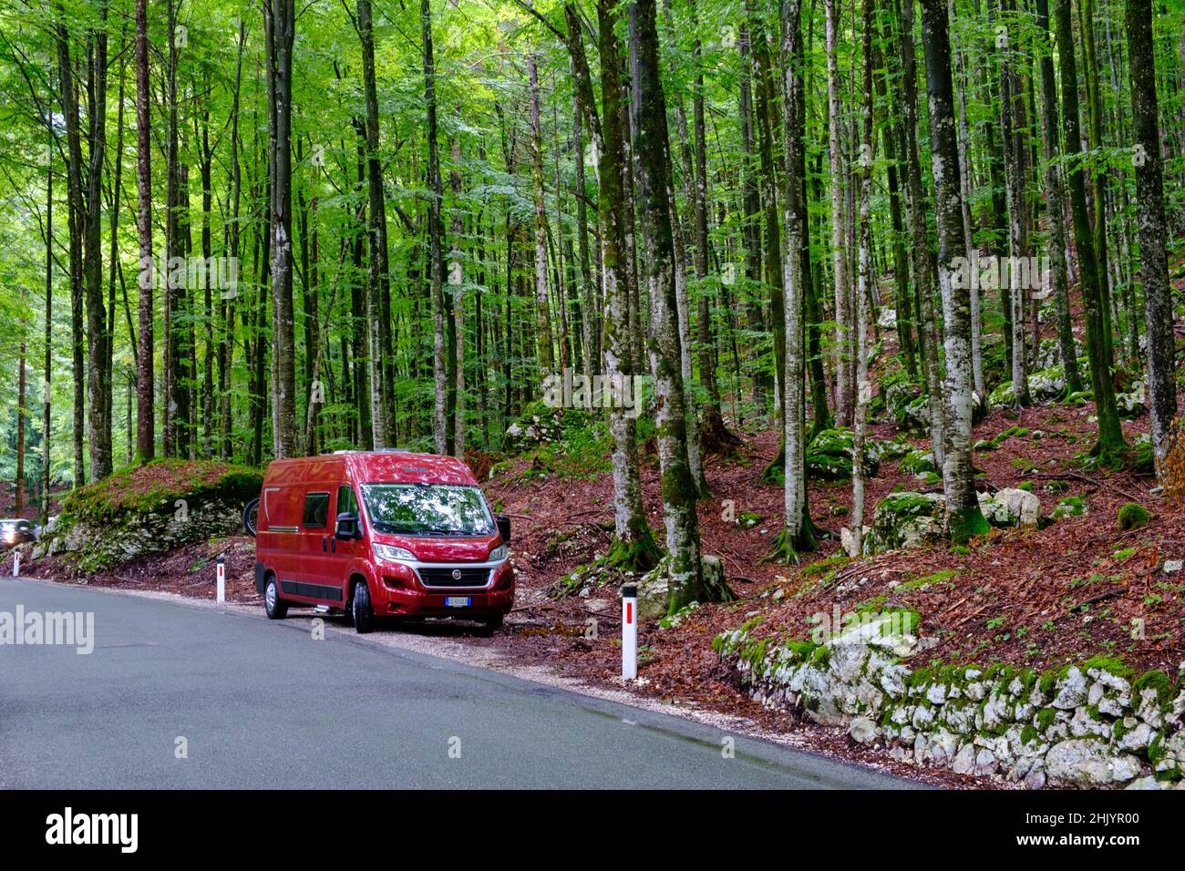 Red camper van in a Slovenian forest near Bohinj Lake Stock Photo