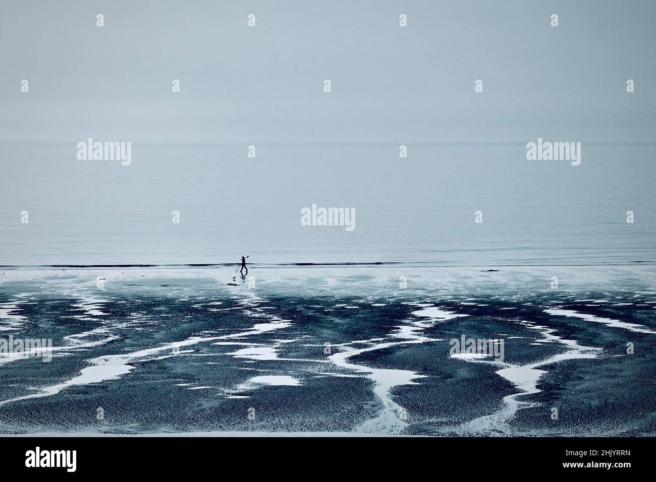 Metal detectorist searching on newly exposed beach at low tide in