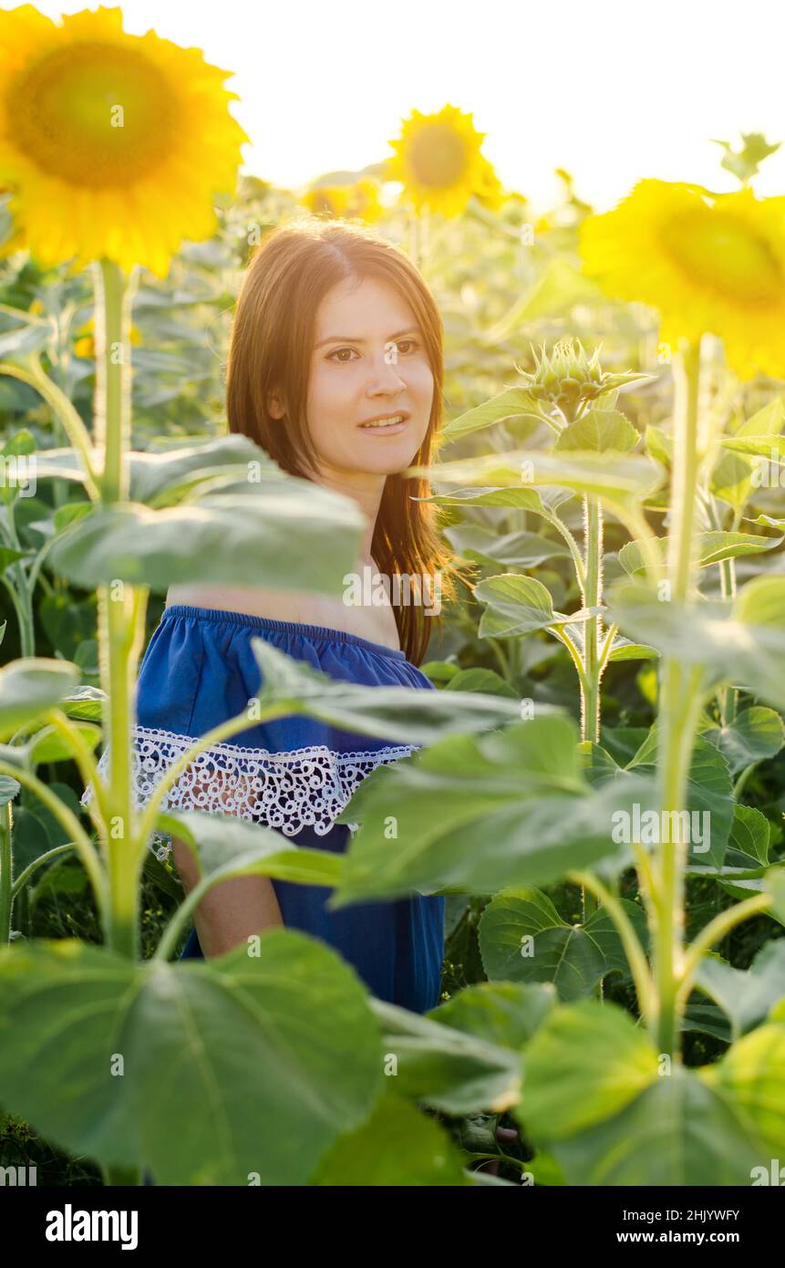 Beautiful young woman in a field of sunflowers in the sun Stock Photo ...