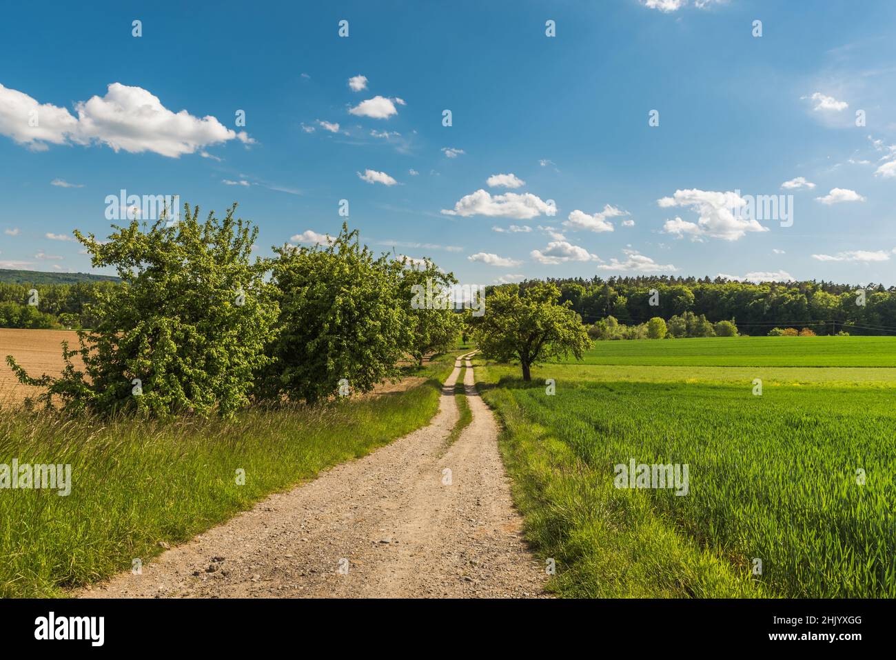 Path amid fields against blue sky with clouds Stock Photo