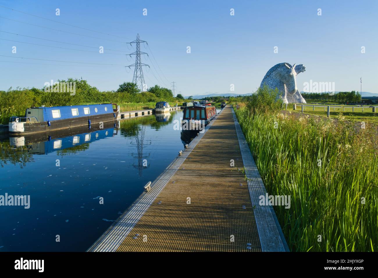 The Kelpies with wild flowers on Forth and Clyde Canal bank.  Helix Public Park,  Falkirk, Stirlingshire, Central, Scotland, UK. Stock Photo