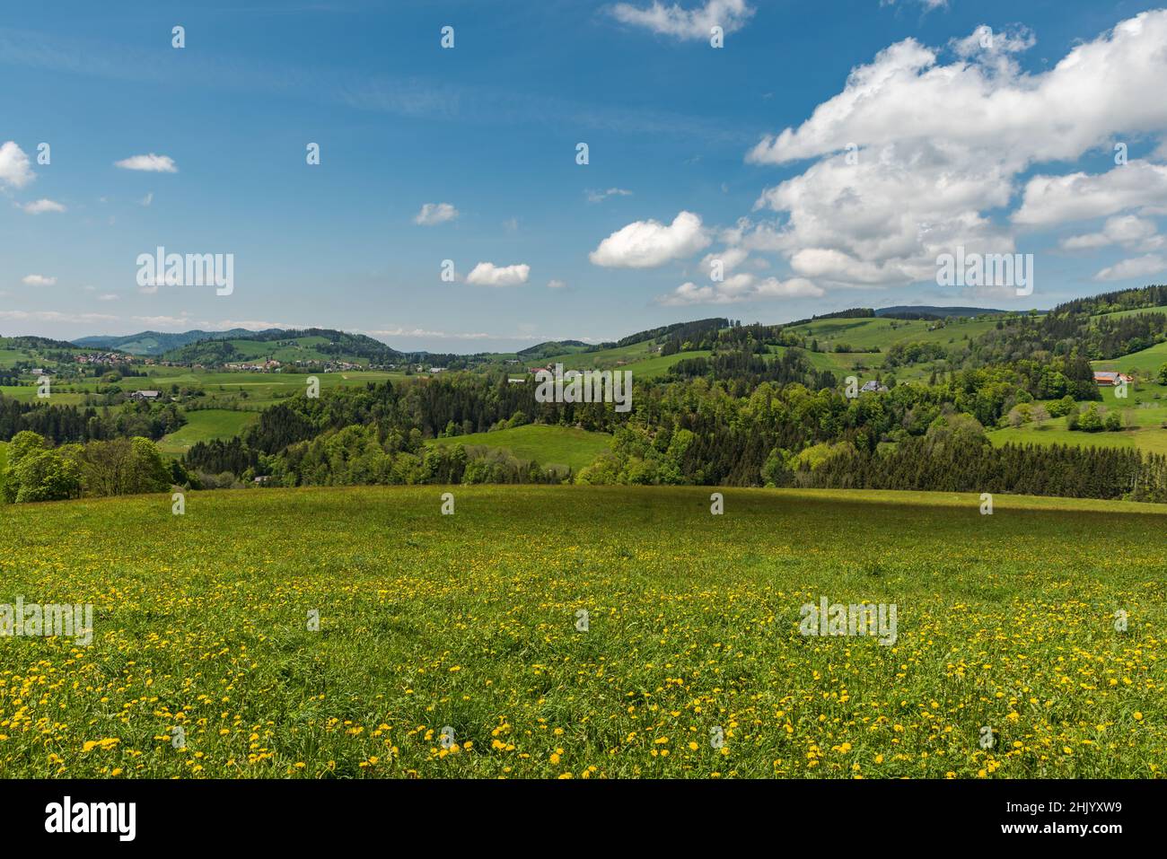 Hilly landscape in Black Forest, Baden-Wuerttemberg, Germany Stock Photo