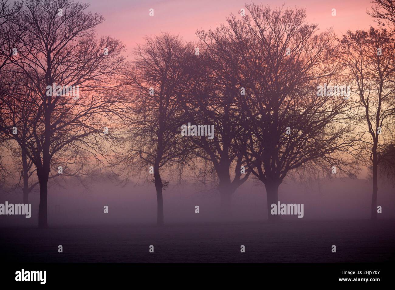 Pedestrians walk in a mistcovered park in Ilford, East London, in the