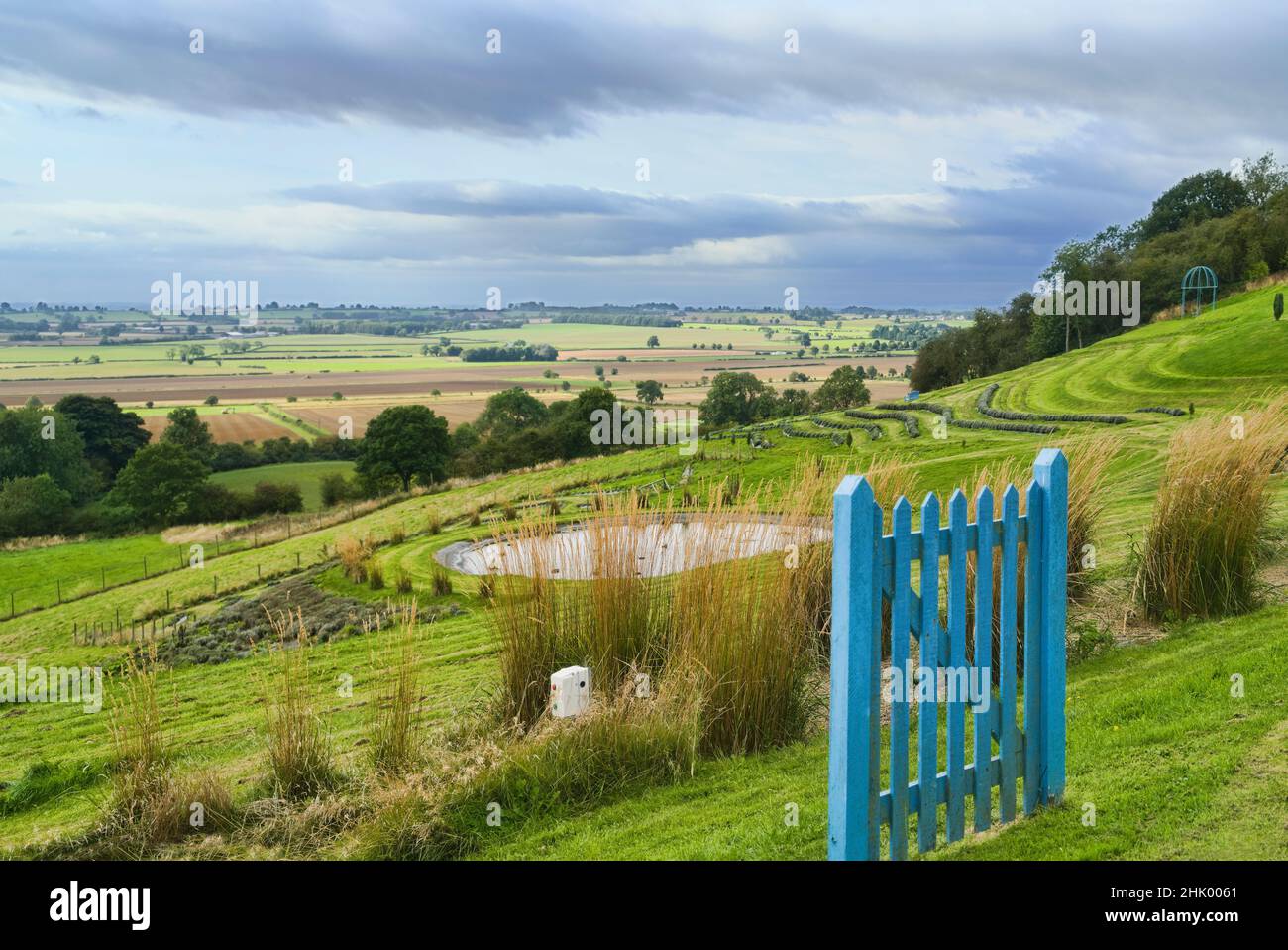Yorkshire Lavender farm, Pastoral landscape.   Looking west south across  Howardian Hills, North Yorkshire, England, UK Stock Photo