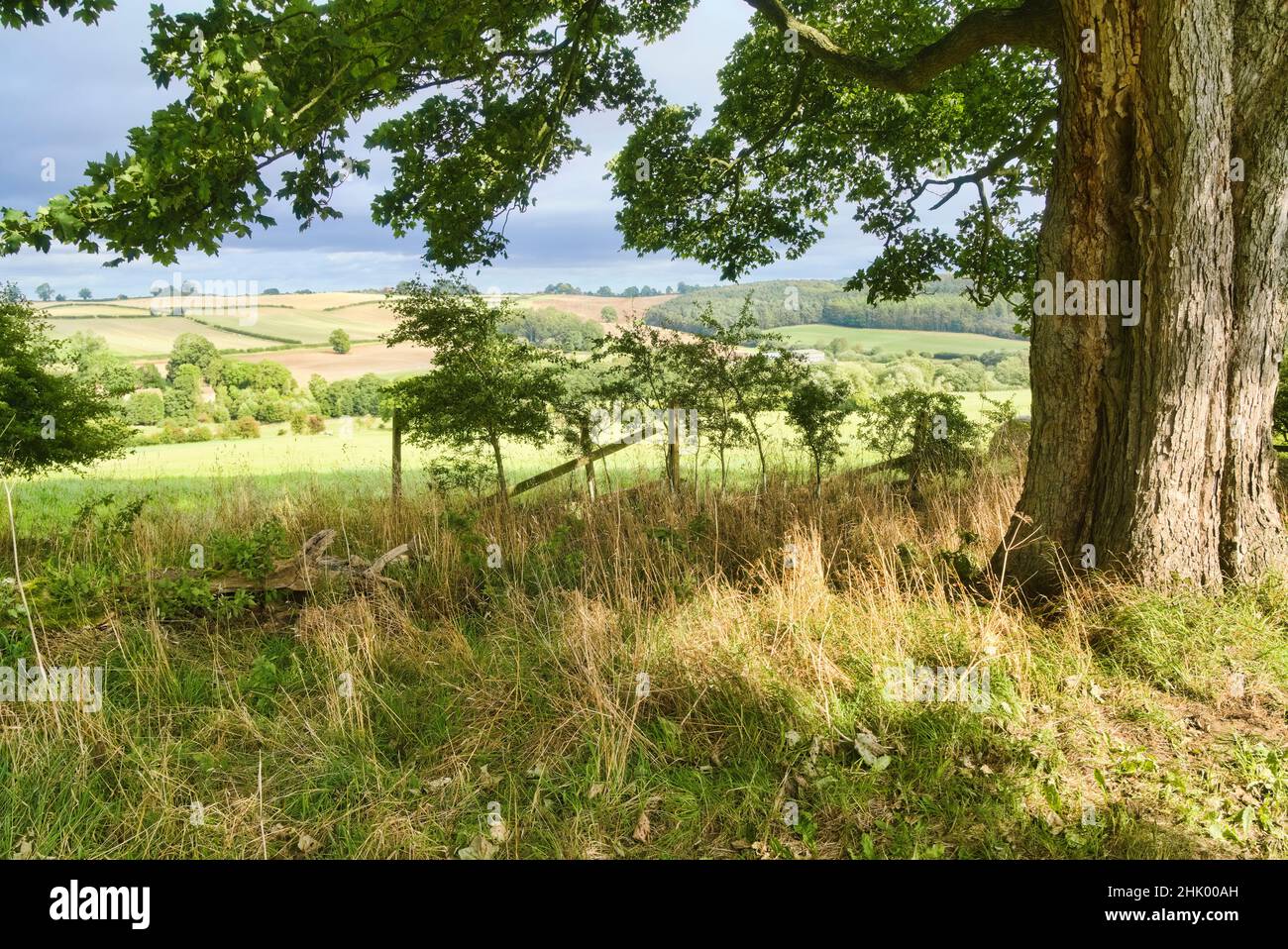 Pastoral landscape.   Looking north across  Howardian Hills, Yorkshire, from near Dalby, near Terrington, Yorkshire, England, UK Stock Photo