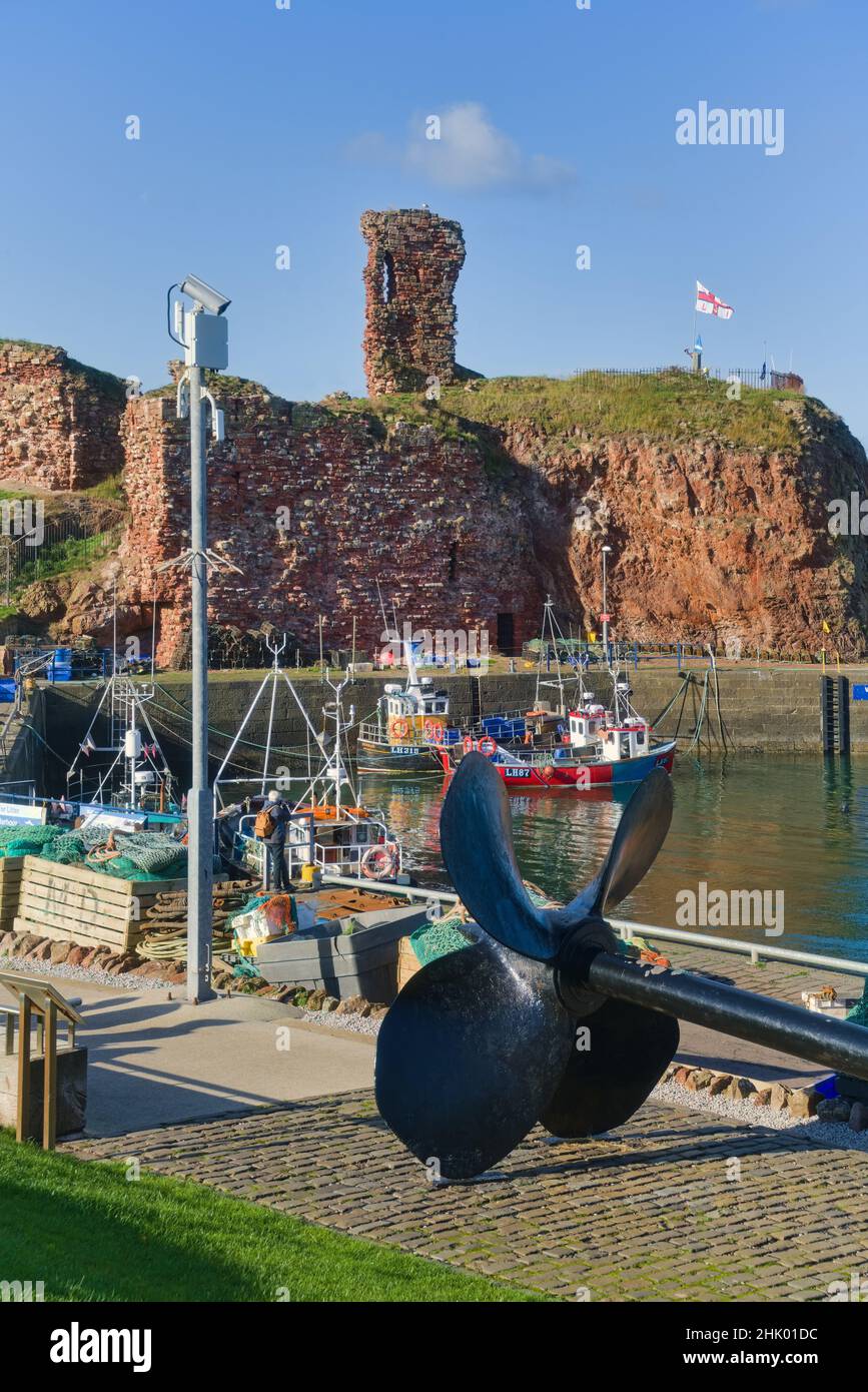 Looking west over Dunbar Harbour to ancient historic Castle ruins. Beautiful clear day.  Colourful Fishing boats.  East Lothian, Scotland, UK Stock Photo