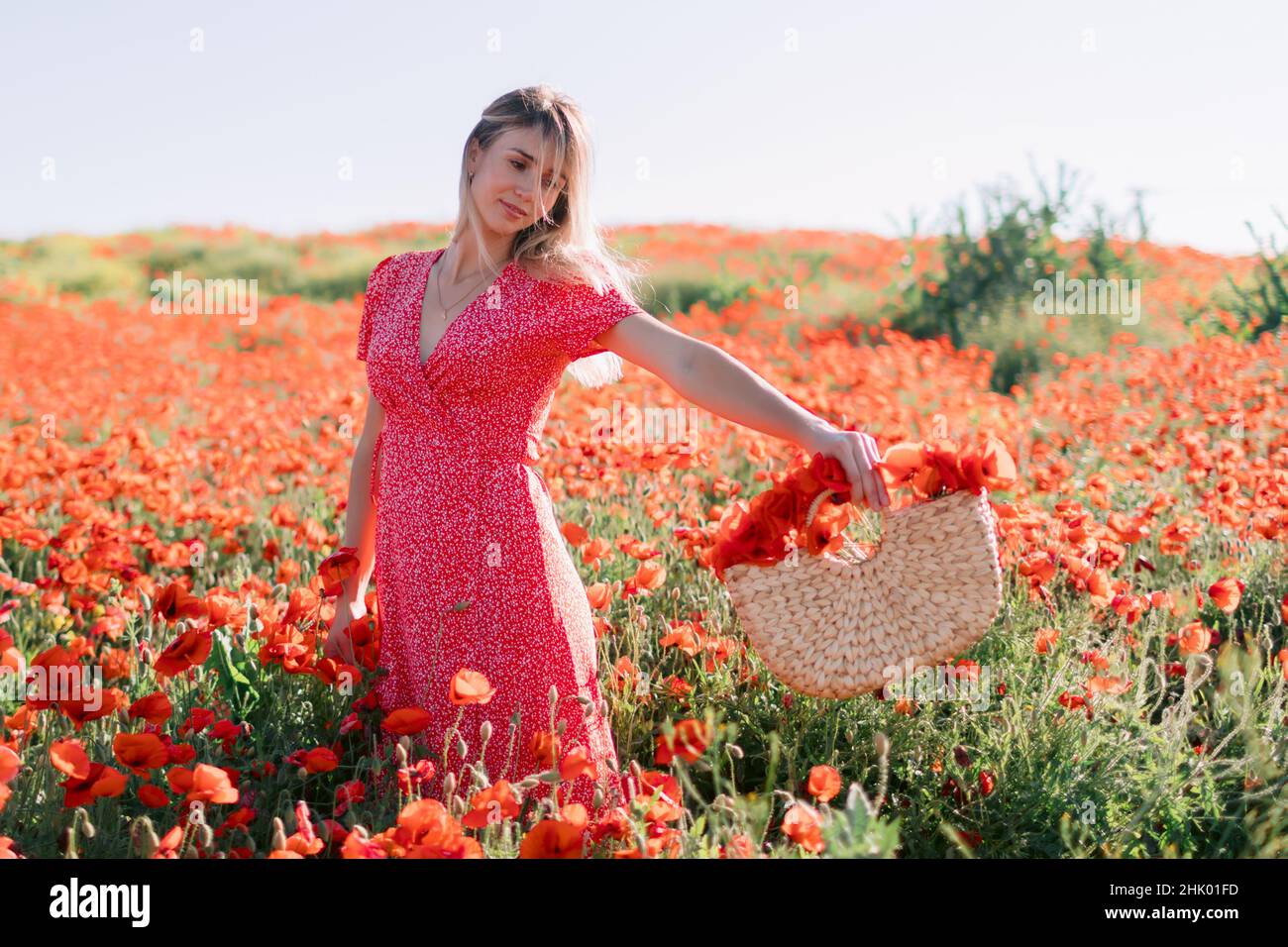 Attractive woman in a poppy field at sunset. Concept of freedom with ...