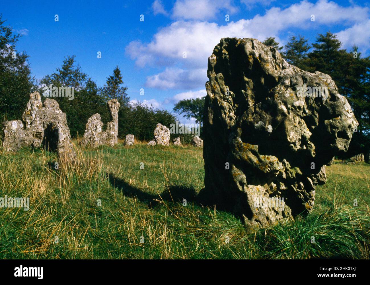 View NE along N arc of the Rollright Stones late Neolithic stone circle (the King's Men), Oxfordshire, England, UK. Originally 100+ limestone pillars Stock Photo
