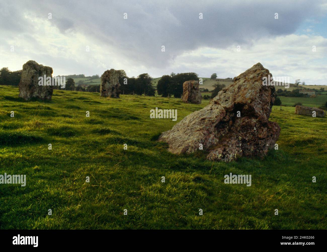 View NW at five stones of the NE Circle of the Neolithic ceremonial complex of circles & avenues at Stanton Drew, Bath and NE Somerset, England, UK. Stock Photo
