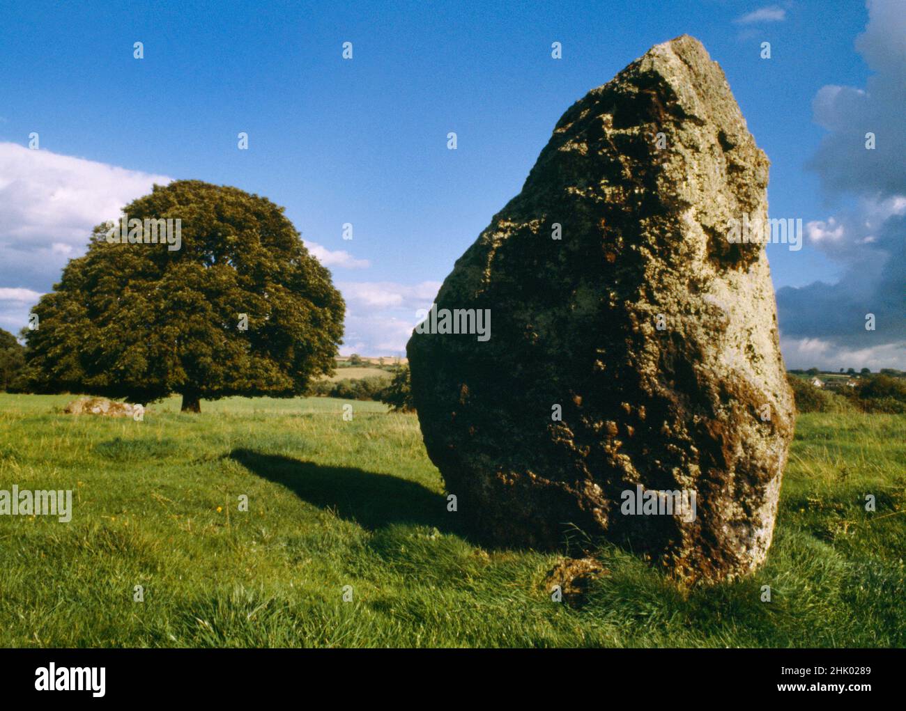 A stone surving from a double row/avenue leading NE from the Great Circle at the Neolithic ceremonial complex of Stanton Drew, Bath & NE Somerset, UK. Stock Photo