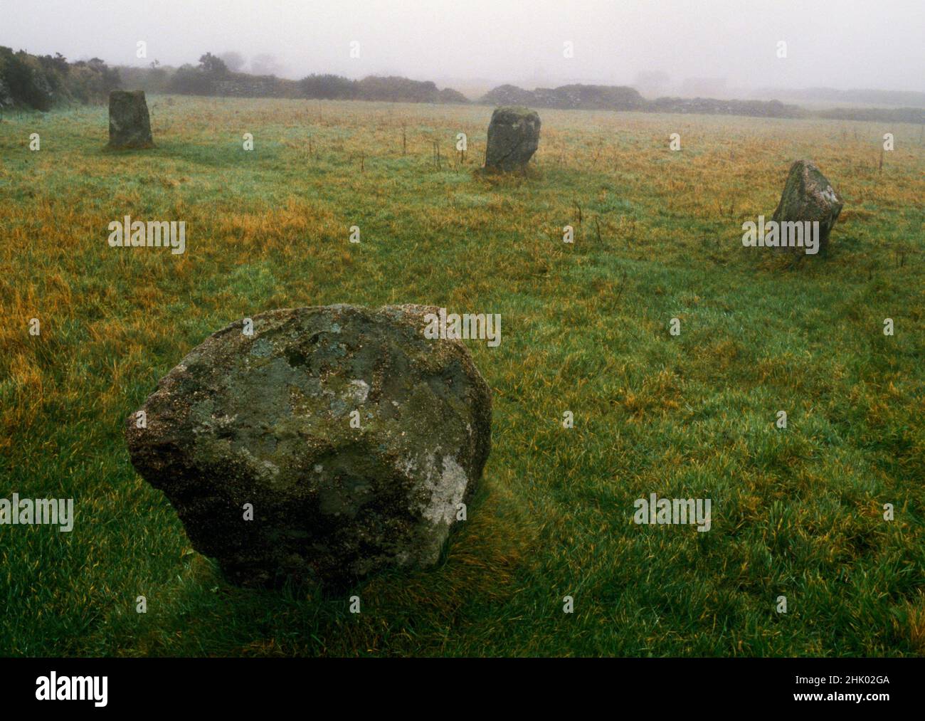 View E of four of the remaining five stones of Wendron South (Nine Maidens) stone circle, SSW of Redruth, Cornwall, England, UK. There was once a pair Stock Photo
