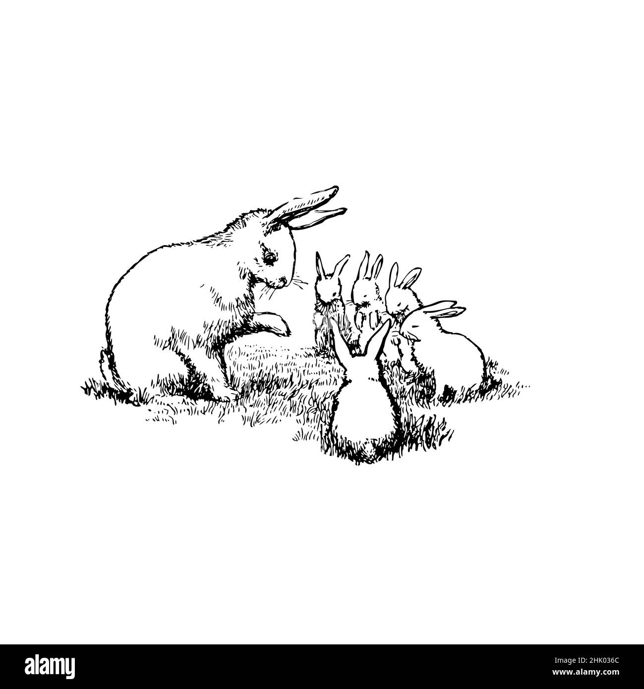 Black and white illustration, bunny rabbit with five little rabbits. Mother looking at the 5 little bunnies, possibly teaching them. Stock Vector