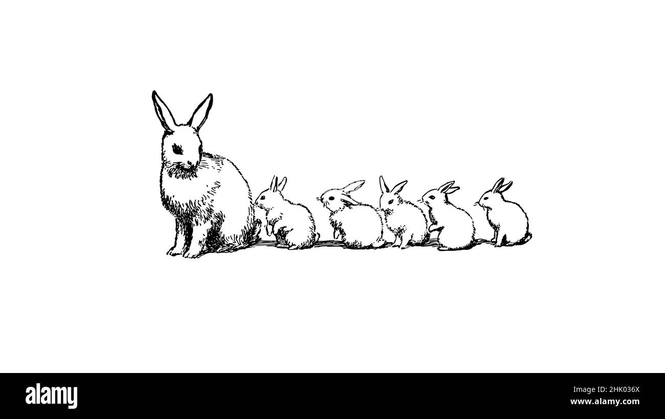 Black and white illustration, bunny rabbit with five little rabbits. Mother looking back at the 5 little bunnies. Stock Vector