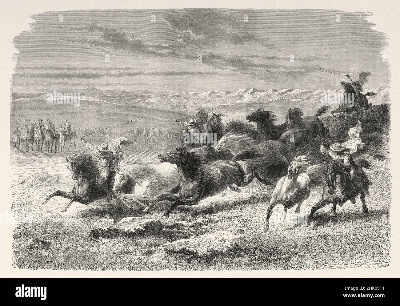 Argentinian gauchos rounding up wild horses in Lauramarca, Ocongate district, Quispicanchi Province, region of Cusco, southern Peru. South America. Old 19th century engraved illustration from Journey across South America by Paul Marcoy, Le Tour du Monde 1870 Stock Photo