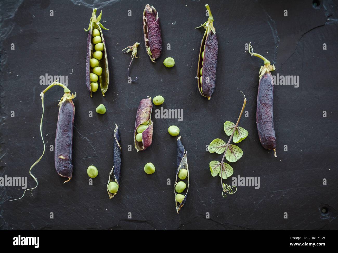 Fresh peas with purple pods on riven slate work surface Stock Photo