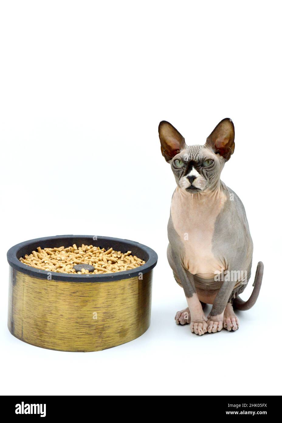 Pellet burner with cat. Perfect heating system, to be placed in a home fireplace or stove. Stock Photo