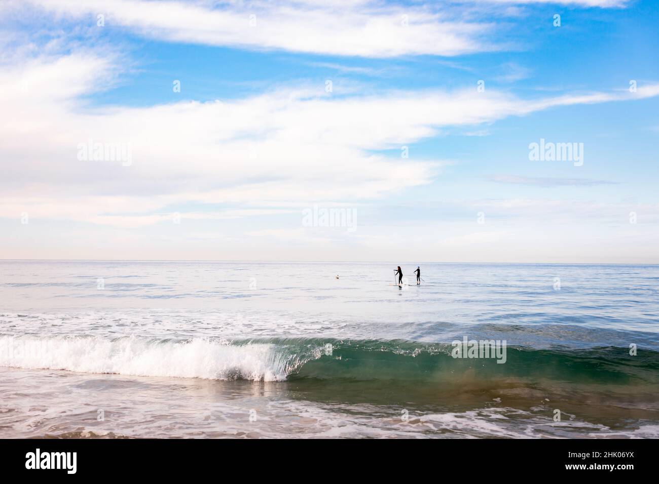 Two people on a stand up paddle board in the ocean in California. Stock Photo