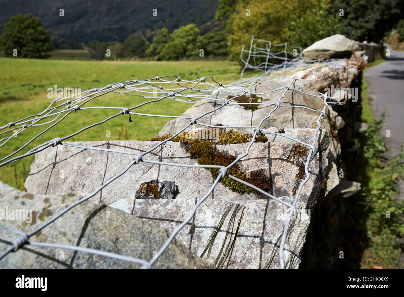 wire fencing installed along the top of dry stone wall for protection against damage and animals langdale valley, lake district, cumbria, england, uk Stock Photo