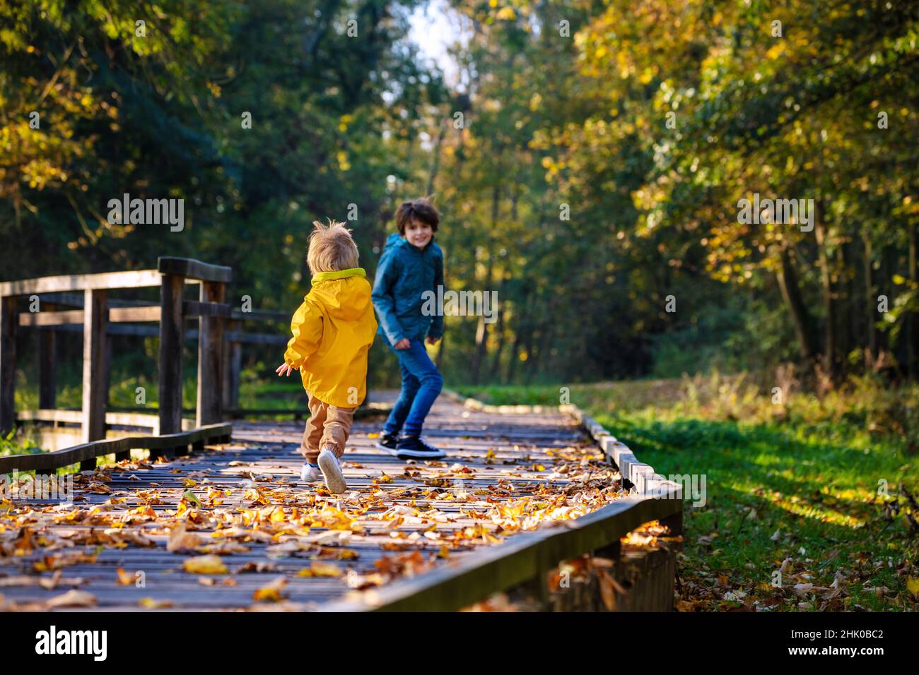 Funny siblings run on path walk in autumn forest Stock Photo - Alamy