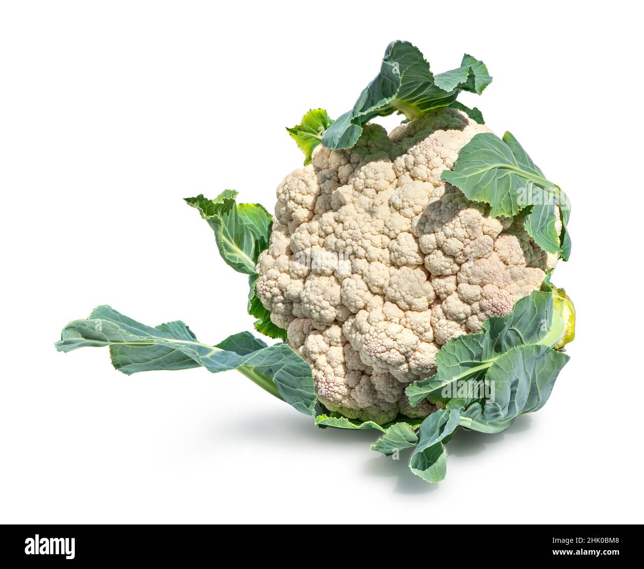 Head of cauliflower isolated on a white background. Stock Photo