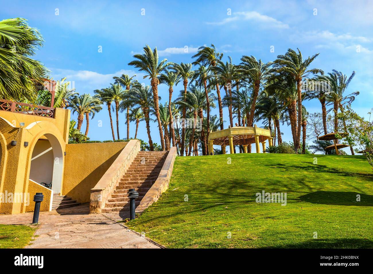 Lawn with green grass in egyptian hotel Stock Photo Alamy