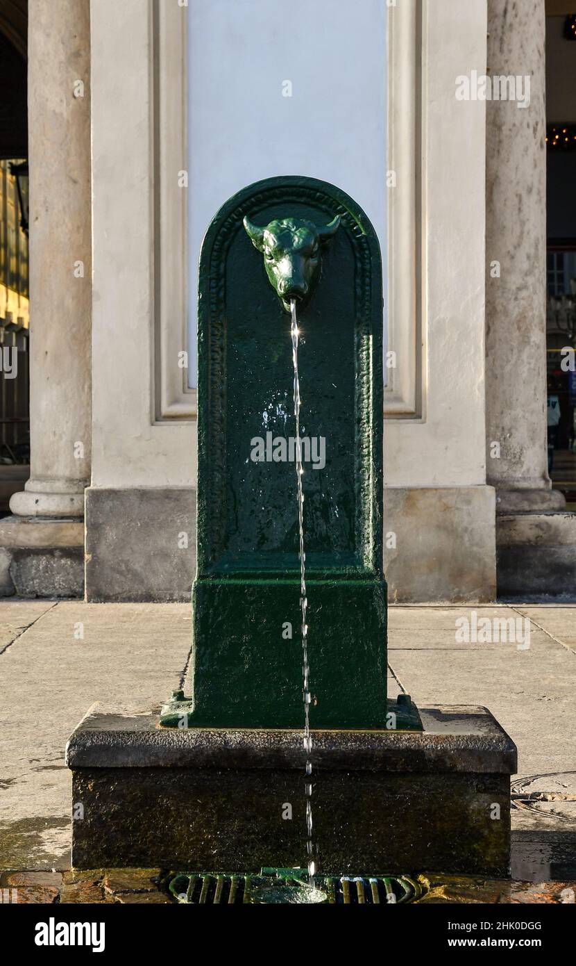 A typical public fountain called 'toret', that is 'small bull', one of the symbol of Turin, in Piazza San Carlo square, Piedmont, Italy Stock Photo