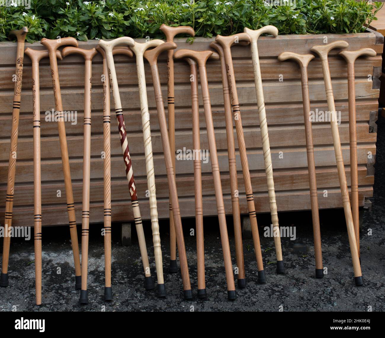 Walking sticks for the elderly Stock Photo Alamy