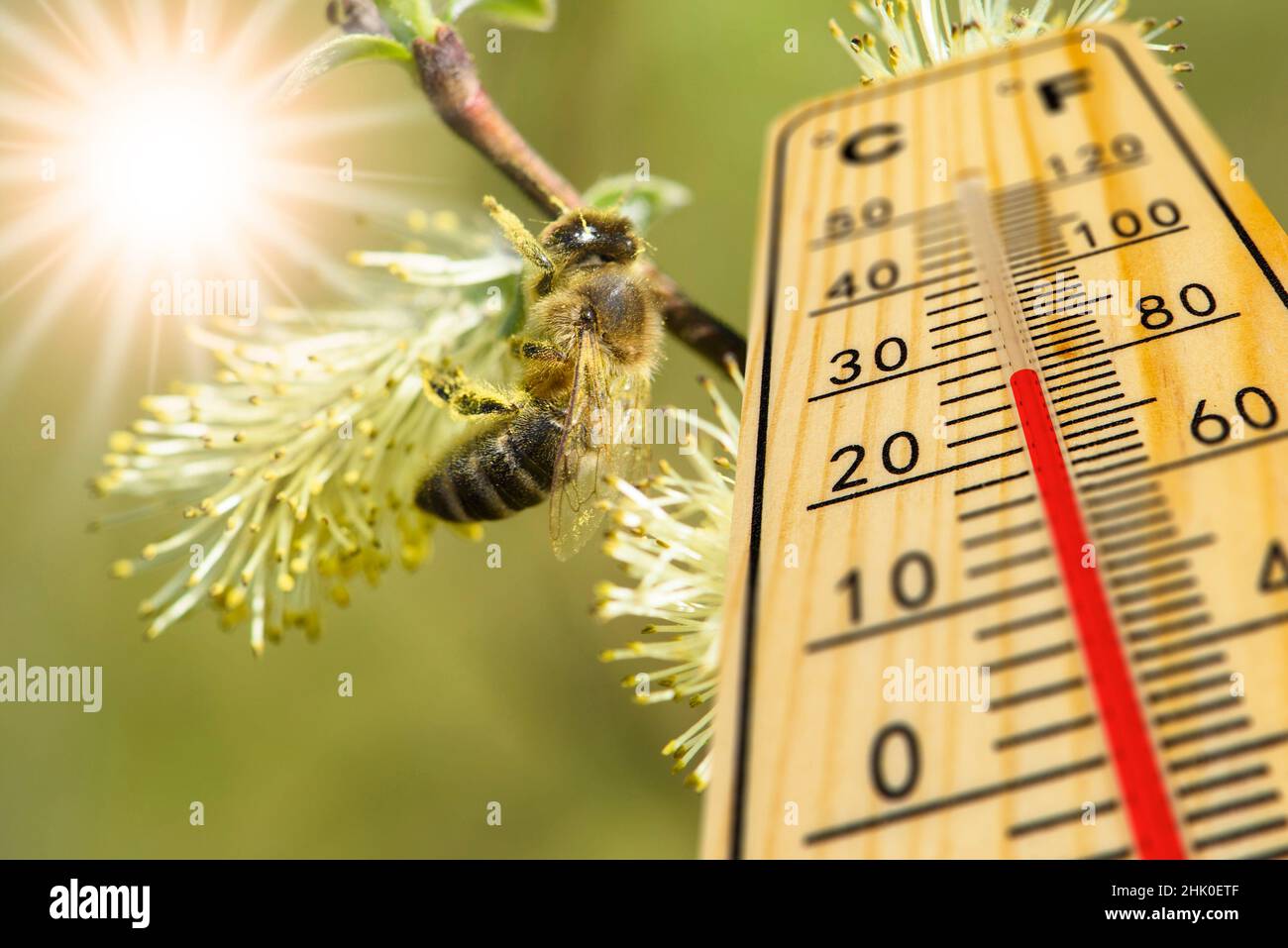 warm temperature on a thermometer Stock Photo Alamy