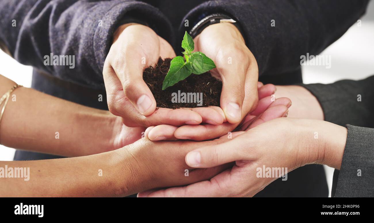 Growth is good but sustainable growth is even better Stock Photo Alamy