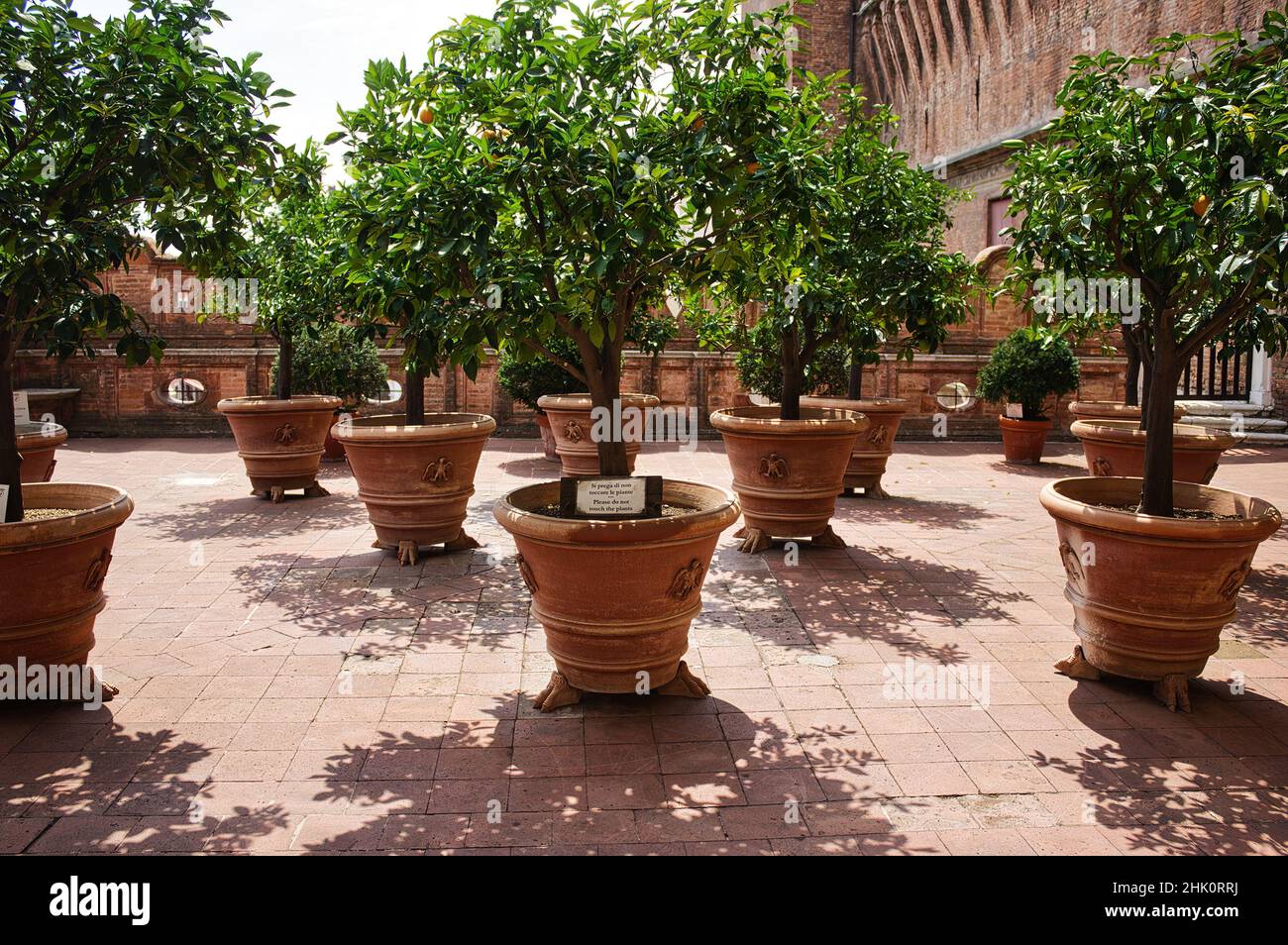 The orange garden in the famous Estense castle (Castello Estense) of Ferrara (UNESCO) Stock Photo