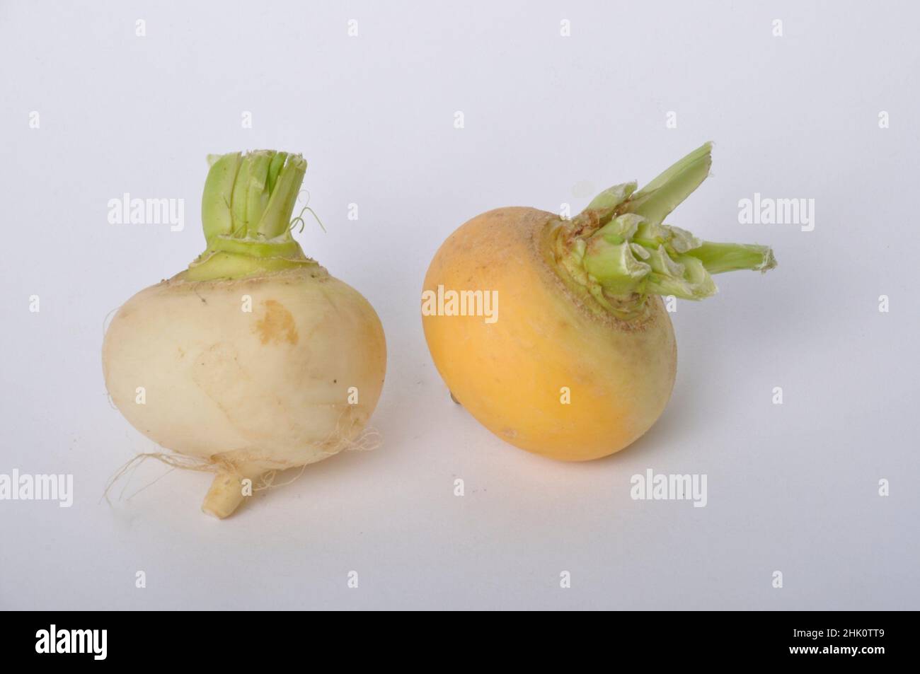Young turnips on a white background Stock Photo Alamy