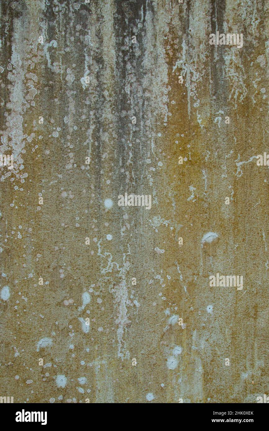 Old distressed wall with damp, grunge textured background Stock Photo