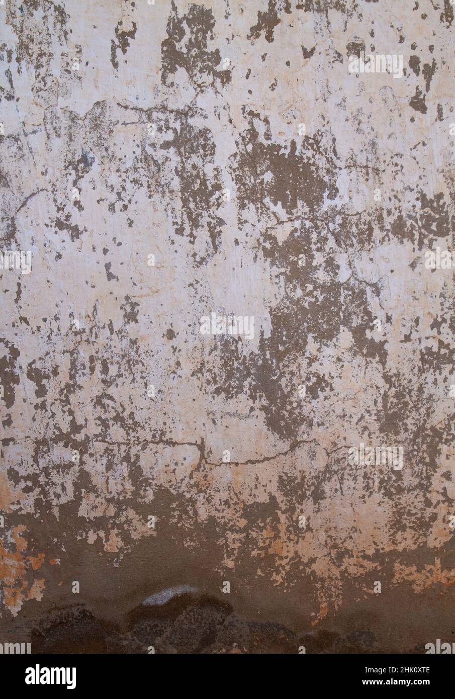 Old lime washed wall with damp, distressed grunge background Stock Photo