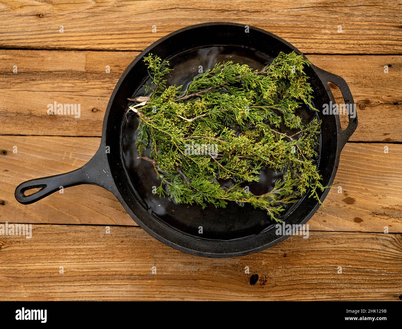 Still life from above of cast iron skillet and tree branches Stock Photo