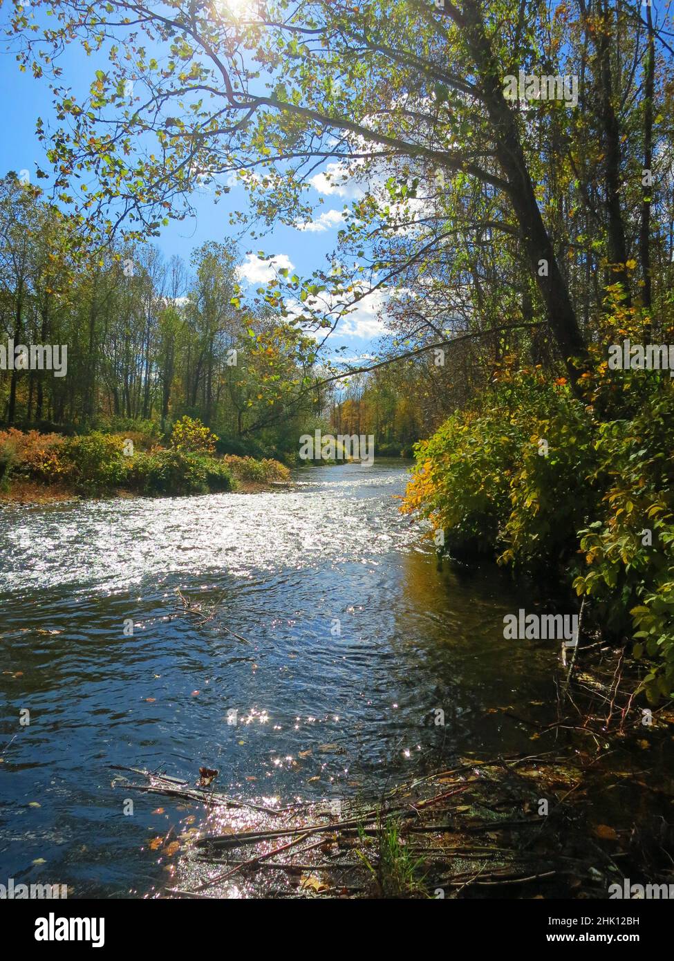 Brodhead Creek, in the fall, is a 21.9milelong tributary of the